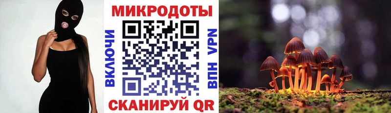 Псилоцибиновые грибы Magic Shrooms Лабытнанги