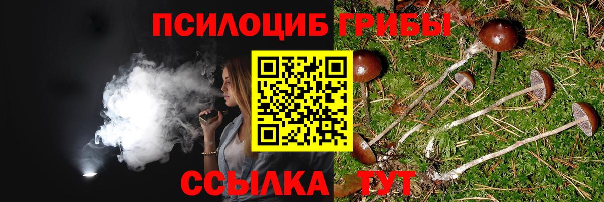 Лабытнанги  как найти закладки  Вход с VPN  Галлюциногенные грибы MAGIC MUSHROOMS  Галлюциногенные грибы прущие грибы 