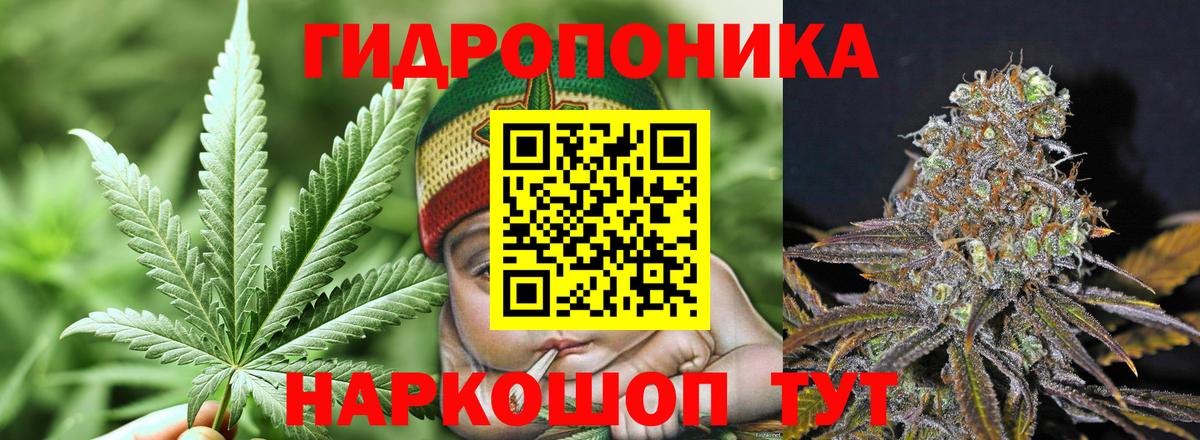 Каннабис MAZAR  МАРИХУАНА планчик  Канабис Ganja  Лабытнанги  Марихуана SATIVA & INDICA 